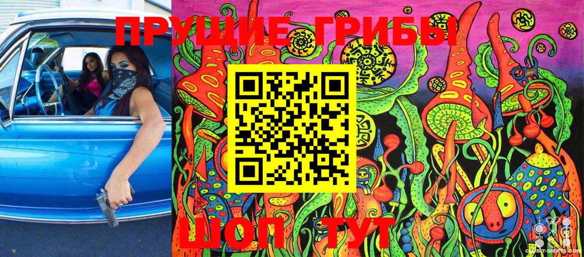 Губкинский  Псилоцибиновые грибы ЛСД  Вход с VPN 